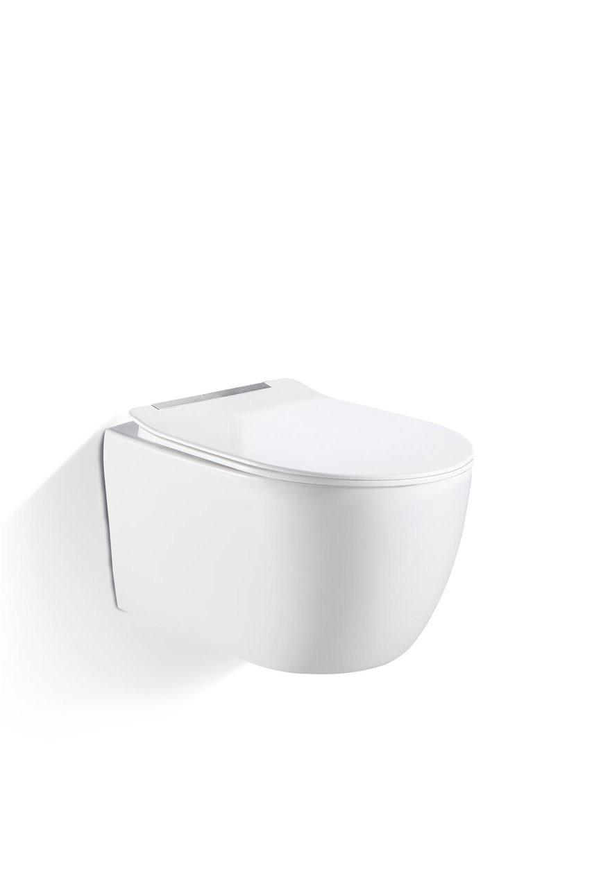 Domus Wall Hung Toilet Pan