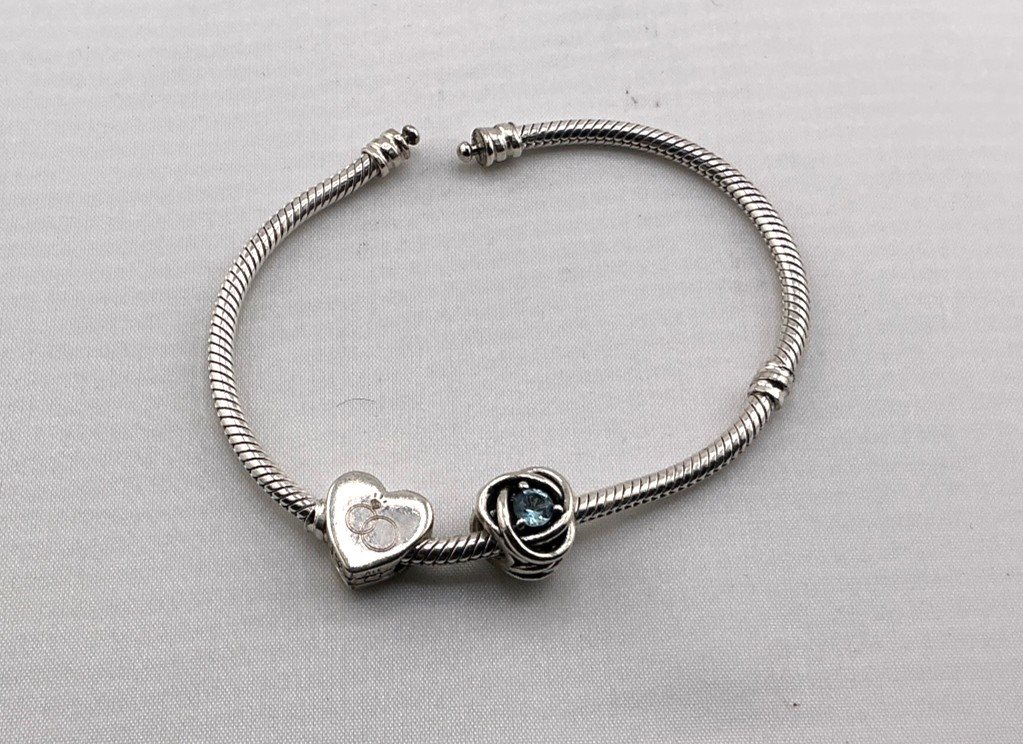 Pandora Charm Bracelet