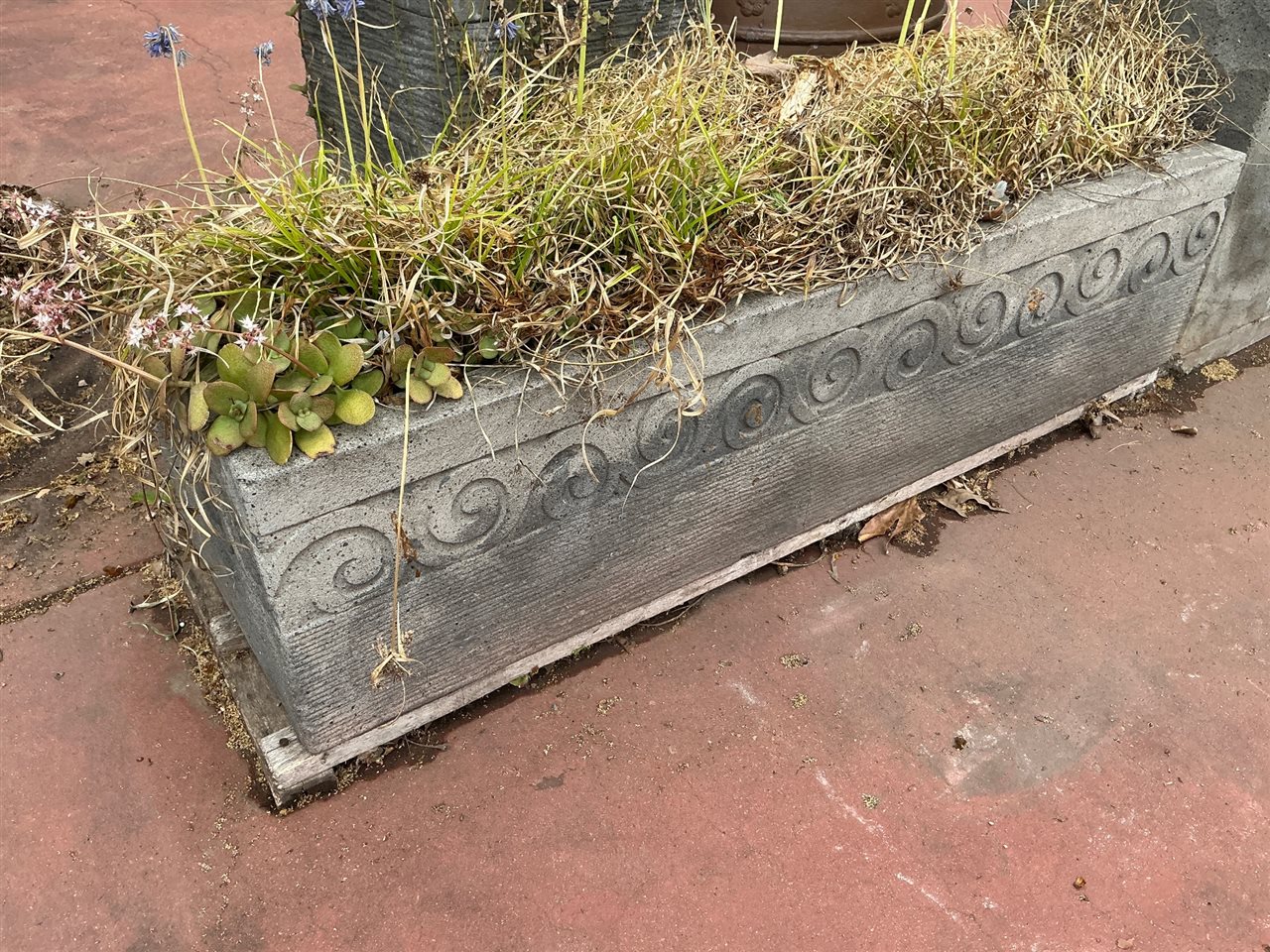 Long Grey Trough Planter with Carved Spiral Band