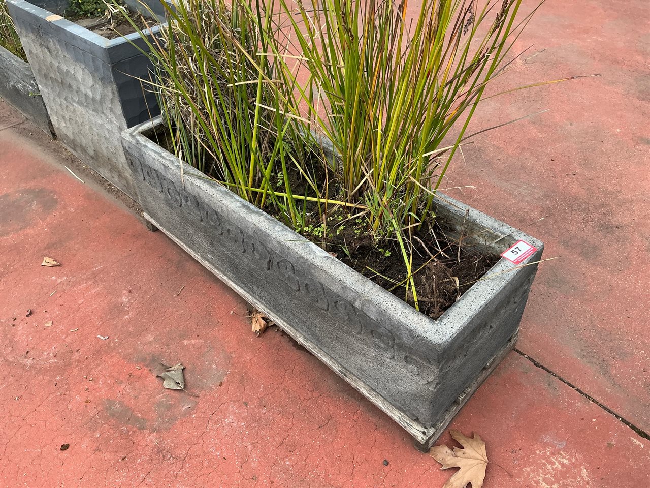Grey Trough Planter with Carved Scroll Band, Planted with Grasses