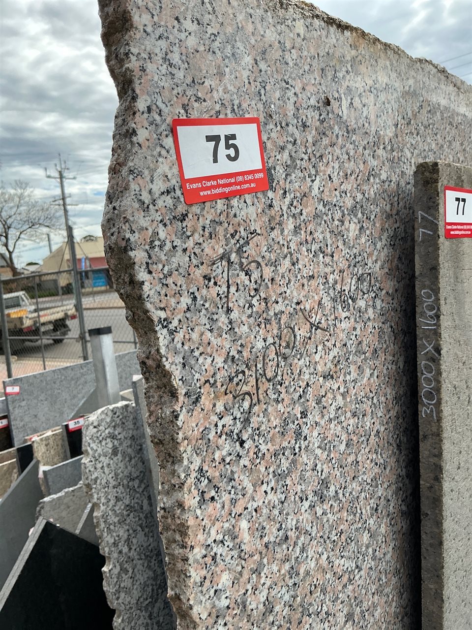 Granite Slab, Spotted Salmon, 3100 x 1600 x 20mm approx.