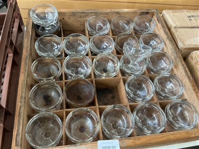 Glass Comports -Quantity of 25 Thumbnail