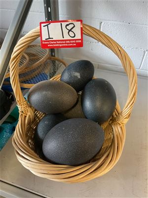 A Basket Of Green Black Emu Eggs Thumbnail