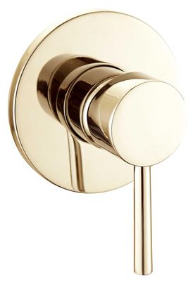 Brushed Gold Single-Function Shower Mixer Thumbnail