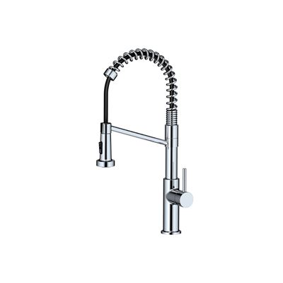 Chrome Kitchen Mixer Thumbnail