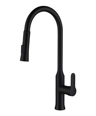 Matte Black Kitchen Mixer Thumbnail