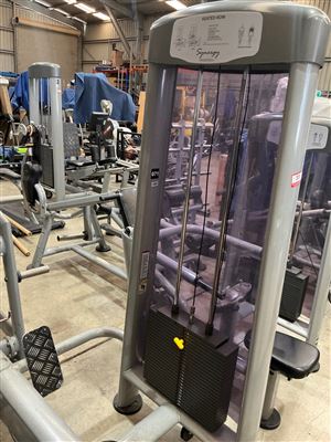 Synergy Seated Row Machine, Pin-Loaded, By Calgym Thumbnail