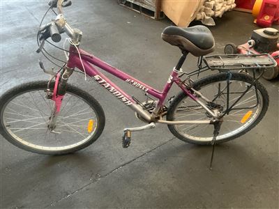 Standish Barossa Bike - Sold As Is Thumbnail