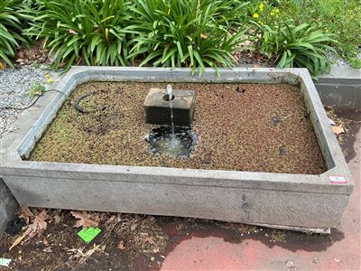 Large Trough Pond Water Feature with Spout Block, 1800 x 1100 x 350mm Thumbnail