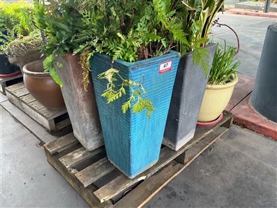 Pallet of Approx 6 Assorted Planted Pots Thumbnail