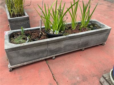 Long Grooved Grey Trough Pond with Aquatic Plants Thumbnail