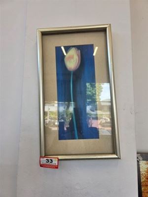 Tulip Picture Thumbnail