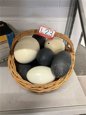 A Basket Of Emu And Ostrich Eggs, Basket Included Thumbnail