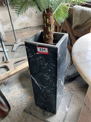 Marble Plant Stand - 700 mm H Thumbnail